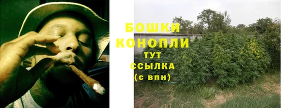 тгк Осташков