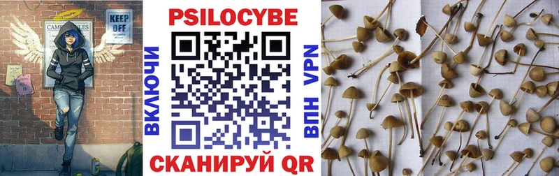 Галлюциногенные грибы GOLDEN TEACHER Чердынь